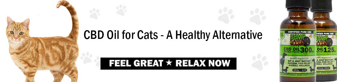 cbd oil for cats