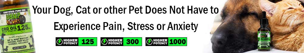 cbd for dogs