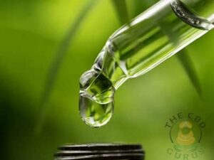 best cbd oil