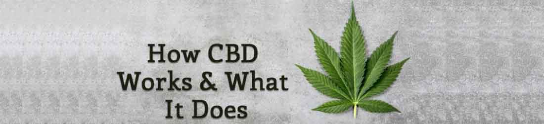 how does cbd work