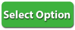 select option